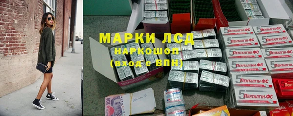 spice Арсеньев