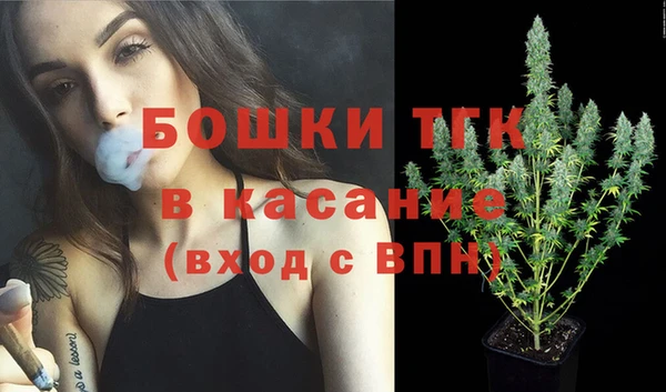spice Арсеньев