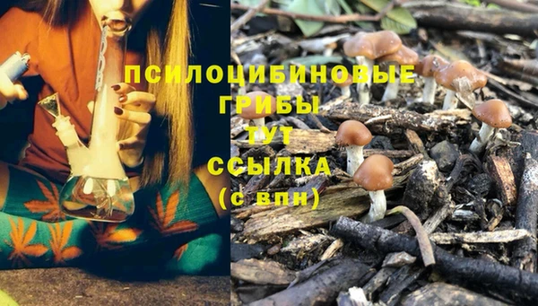 эйфоретик Нефтекумск
