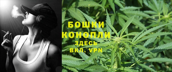 spice Арсеньев