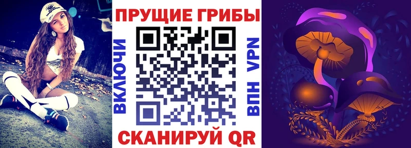 Псилоцибиновые грибы GOLDEN TEACHER Полесск